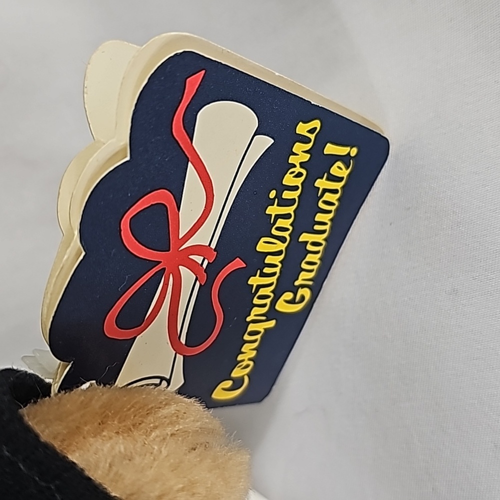 Graduation Owl - Picture 4 of 6